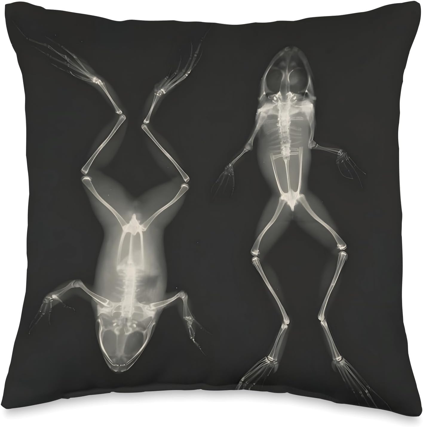 Frog on Back and Front