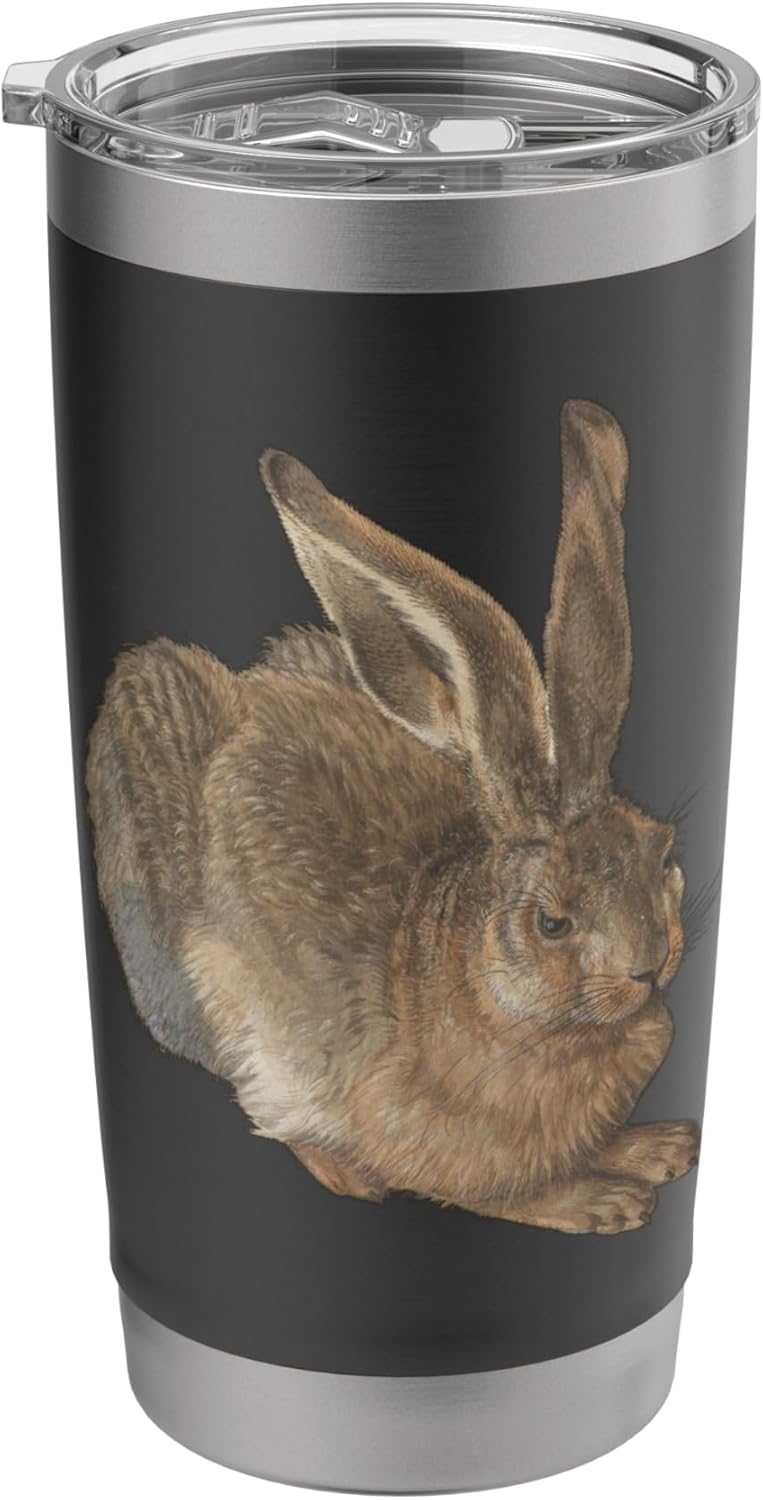 Young Hare by Albrecht Durer