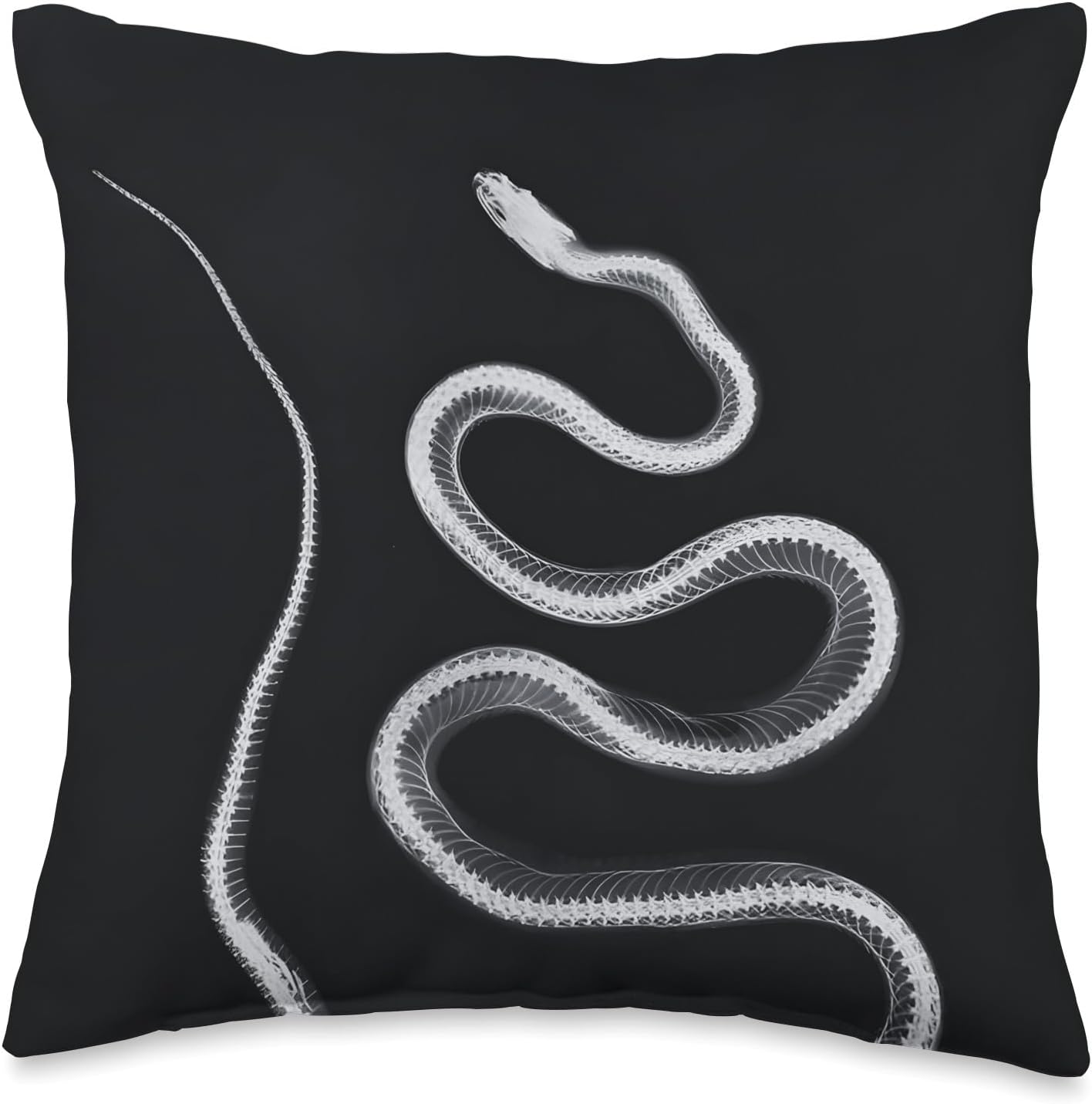 Snake Radiographic Photo