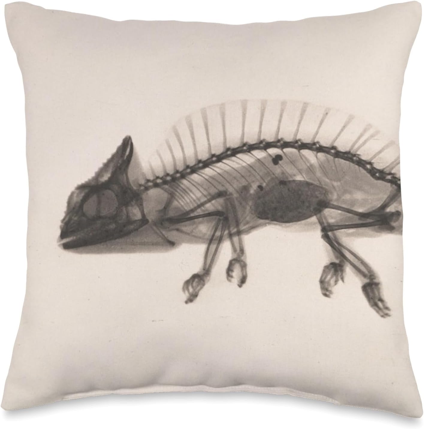 Chameleon Radiographic Photo