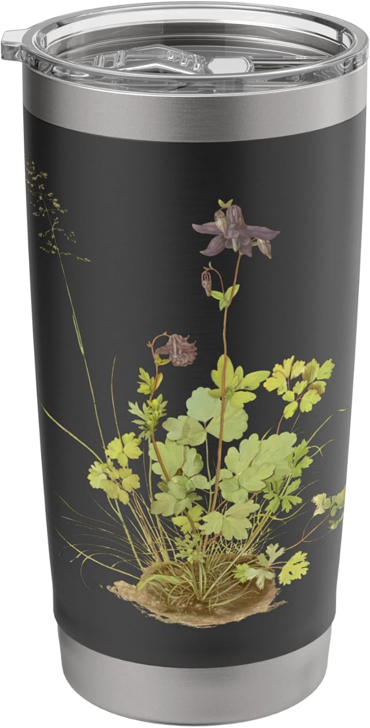 The Piece Of Turf With The Columbine by Albrecht Durer