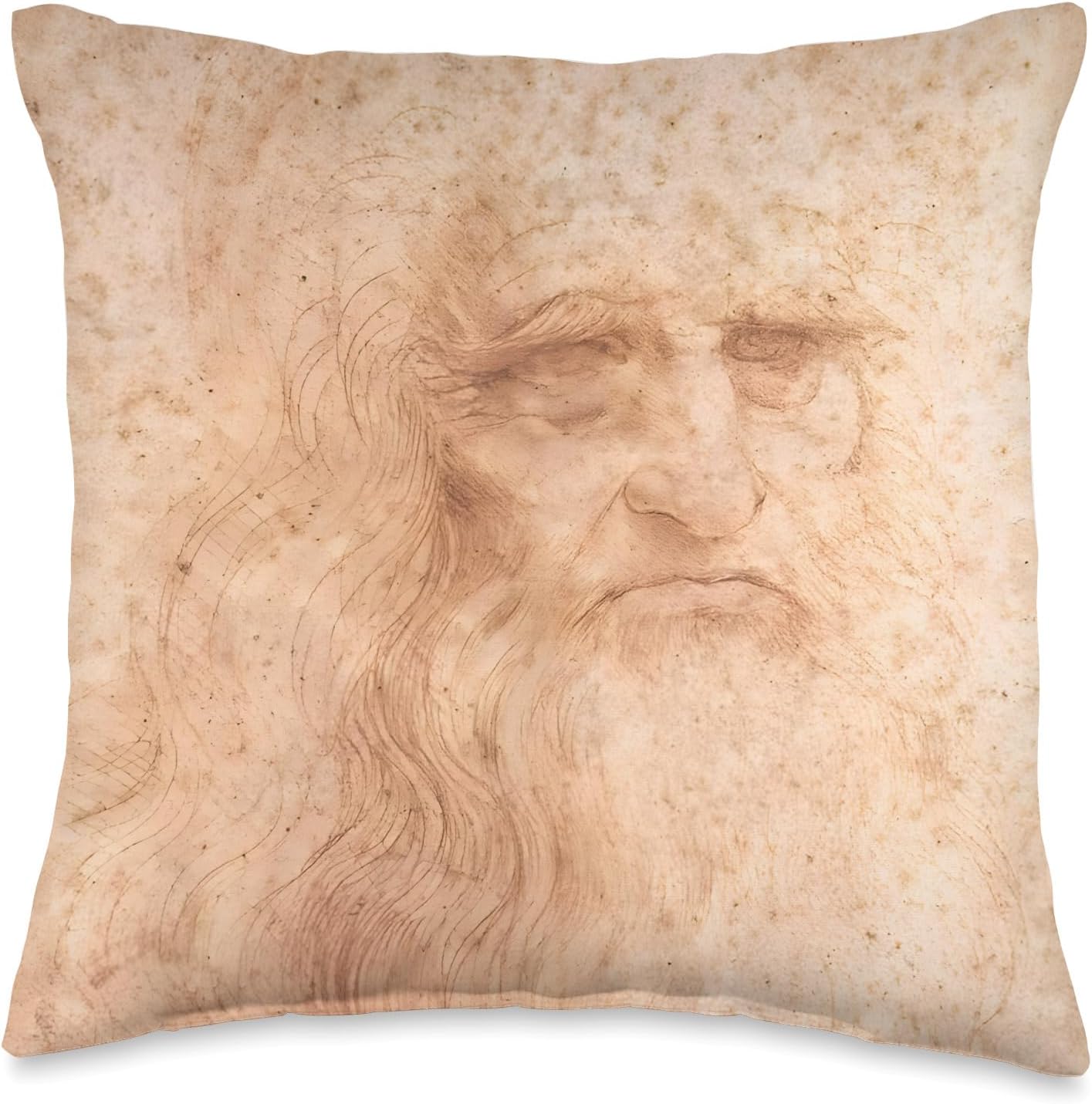 Portrait of a Bearded Man by Leonardo da Vinci