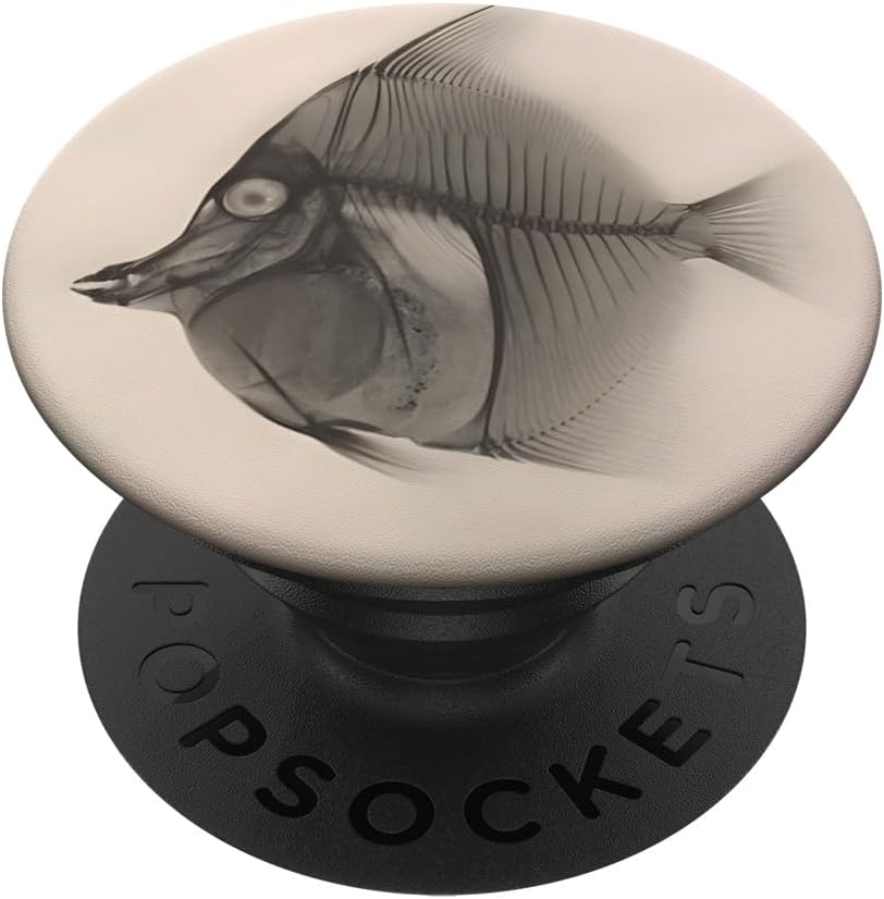 Fish Radiographic Photo