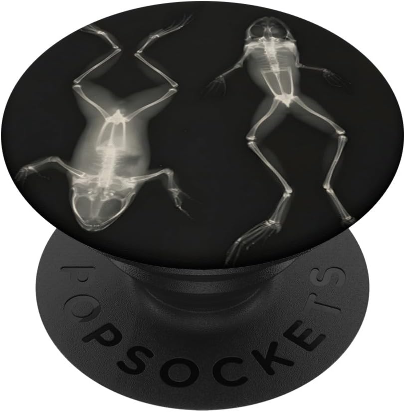 Frog on Back and Front