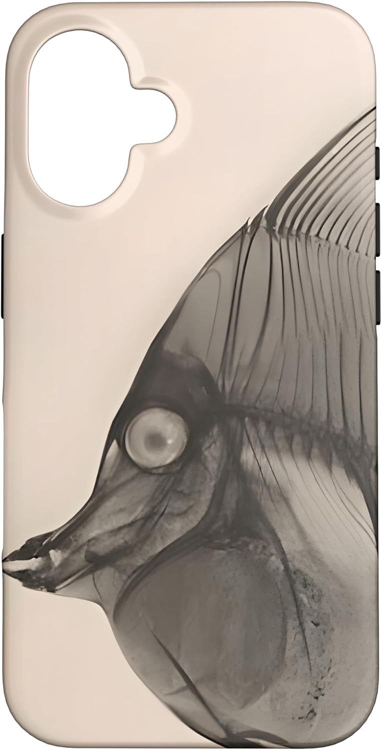 Fish Radiographic Photo