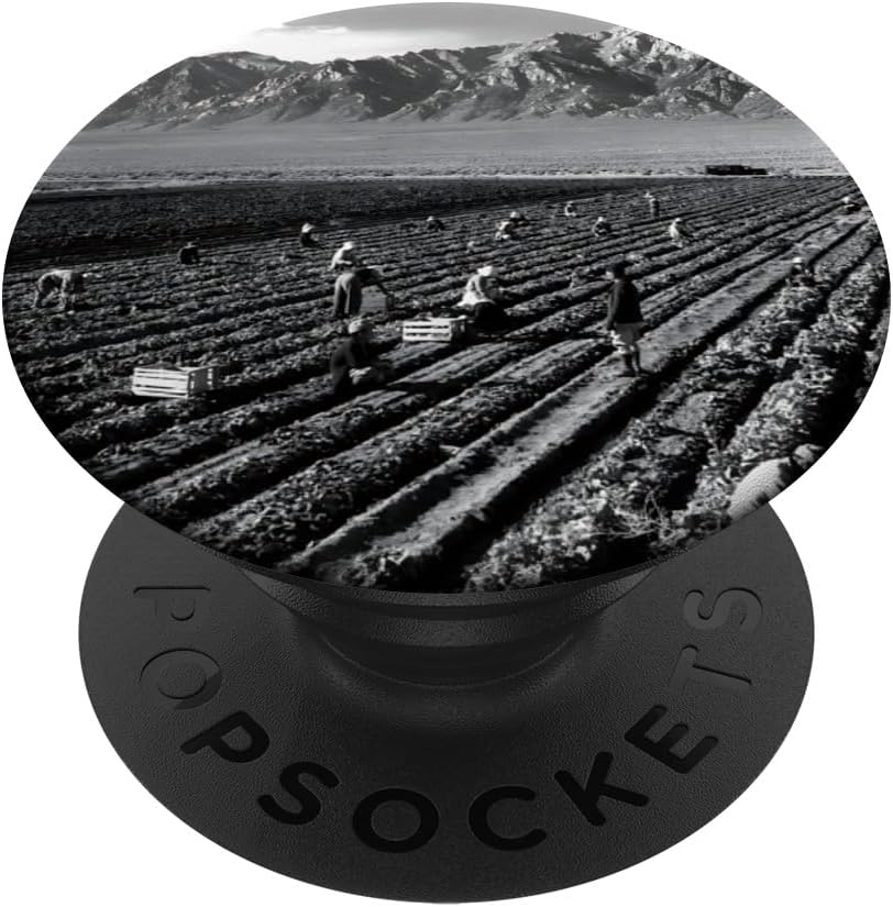 Farm workers, Mt. Williamson