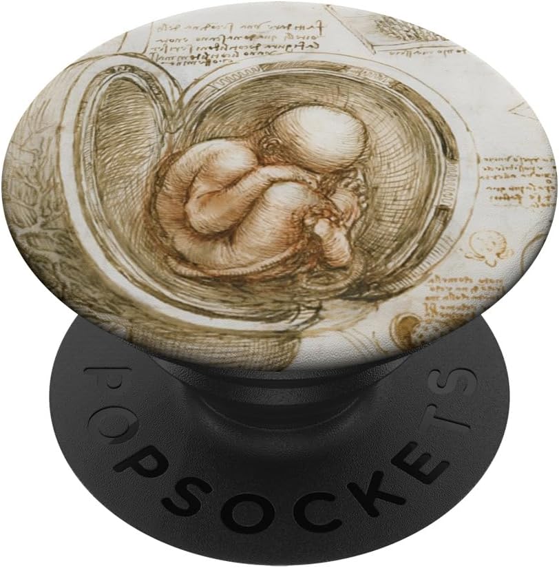 Studies of the Fetus in the Womb by Leonardo da Vinci