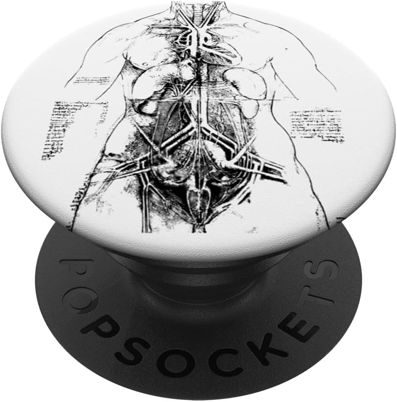 Anatomical Study by Leonardo da Vinci