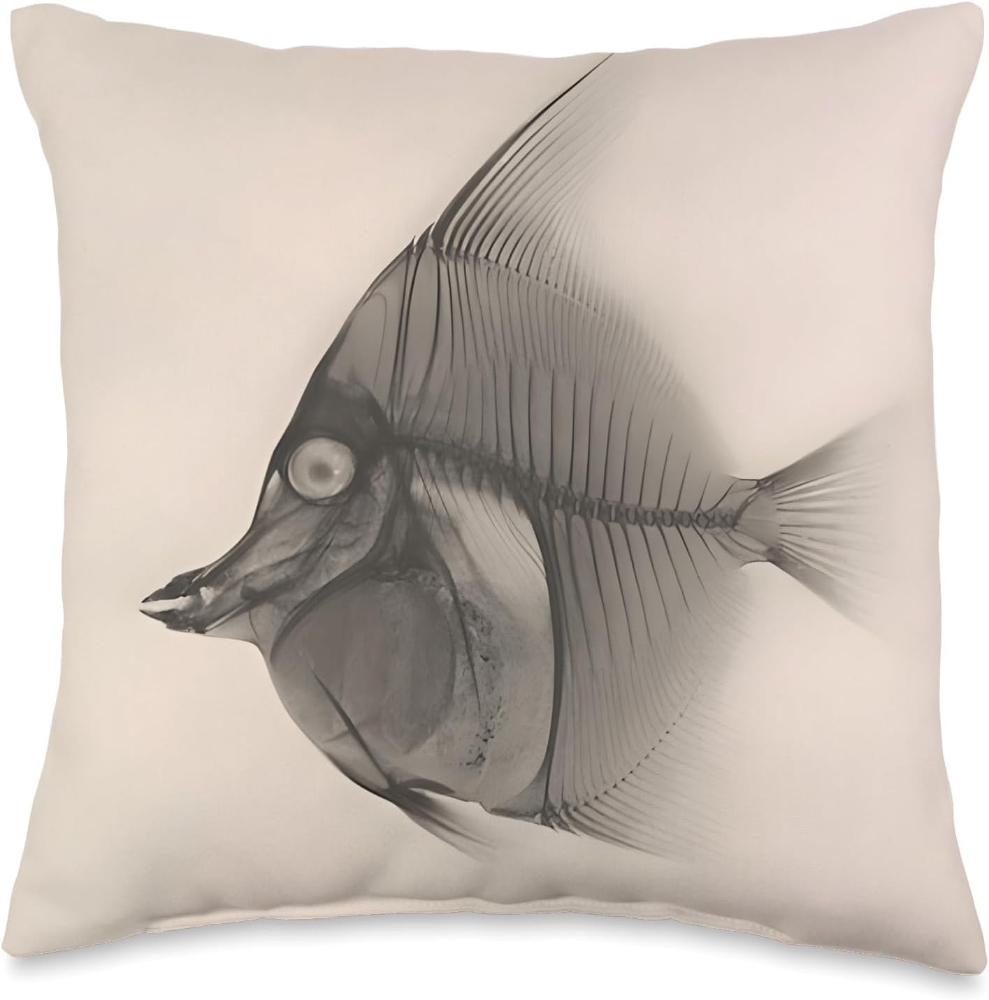 Moorish idol / Bluelined surgeonfish
