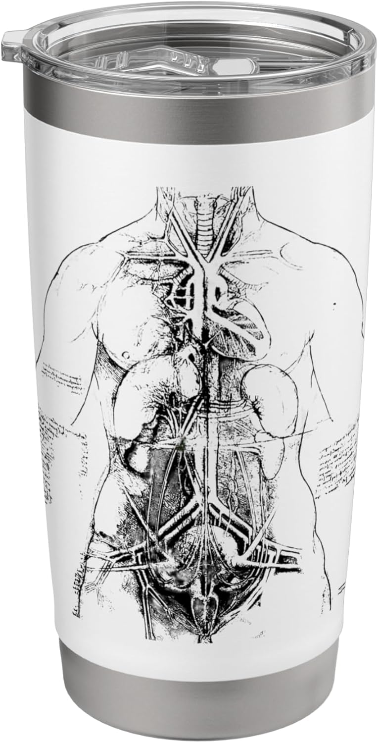 Anatomical Study by Leonardo da Vinci