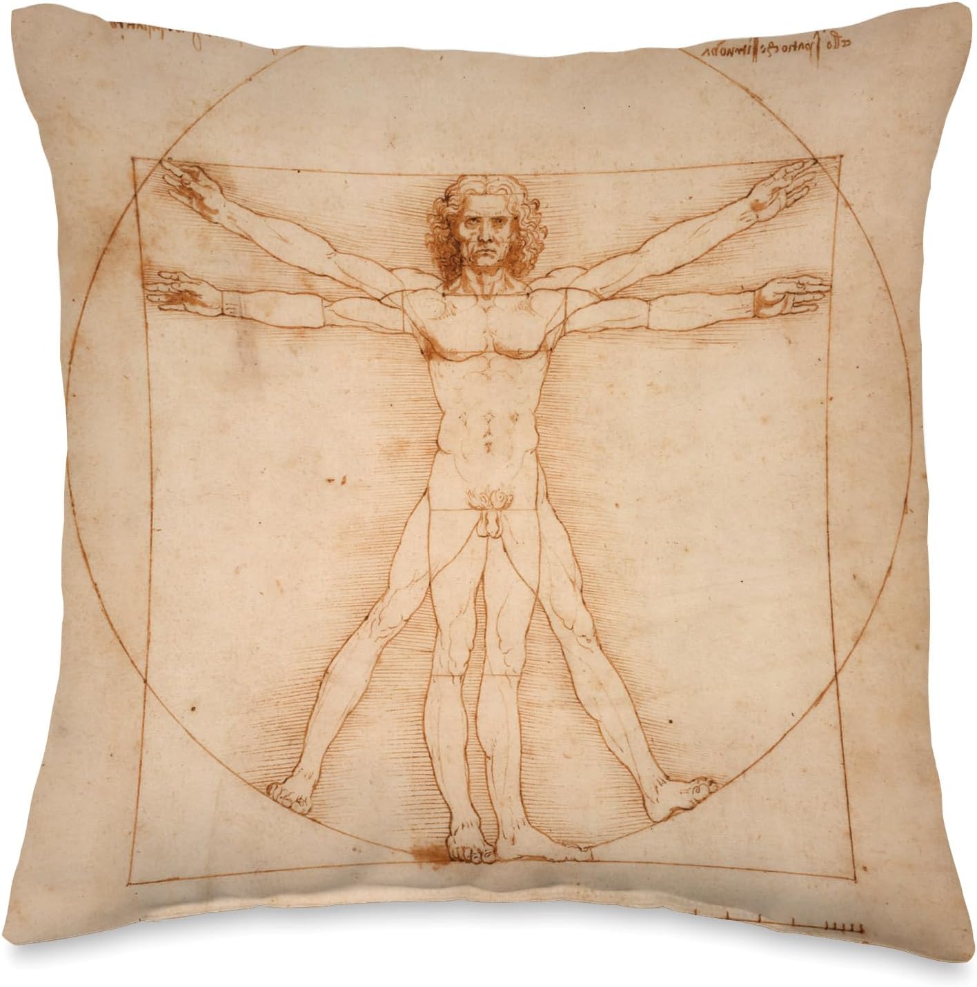 The Vitruvian Man by Leonardo da Vinci