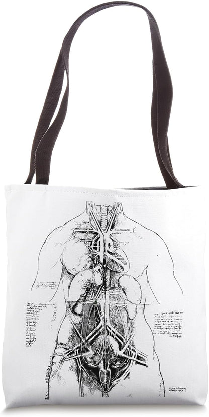 Anatomical Study by Leonardo da Vinci