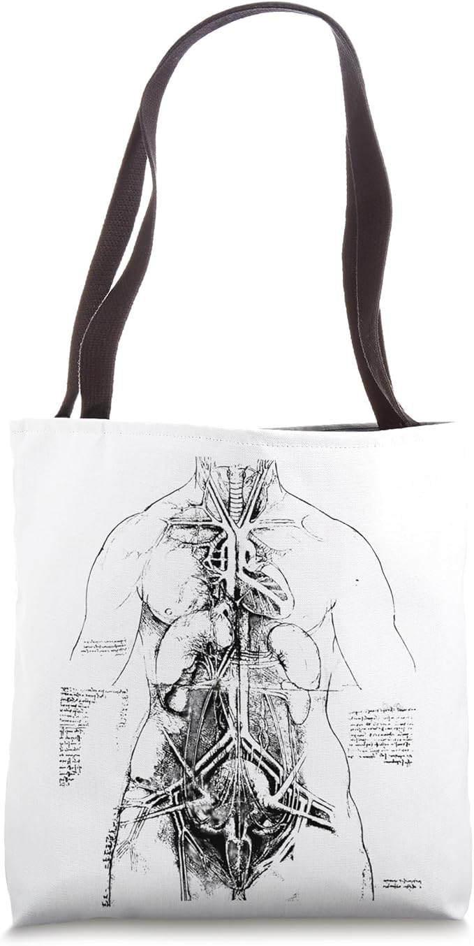 Anatomical Study by Leonardo da Vinci