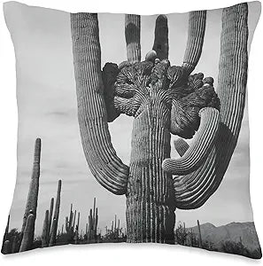 Saguaro Cactus