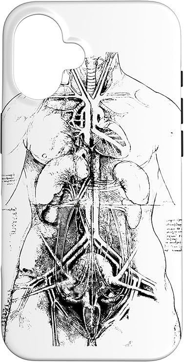 Anatomical Study by Leonardo da Vinci