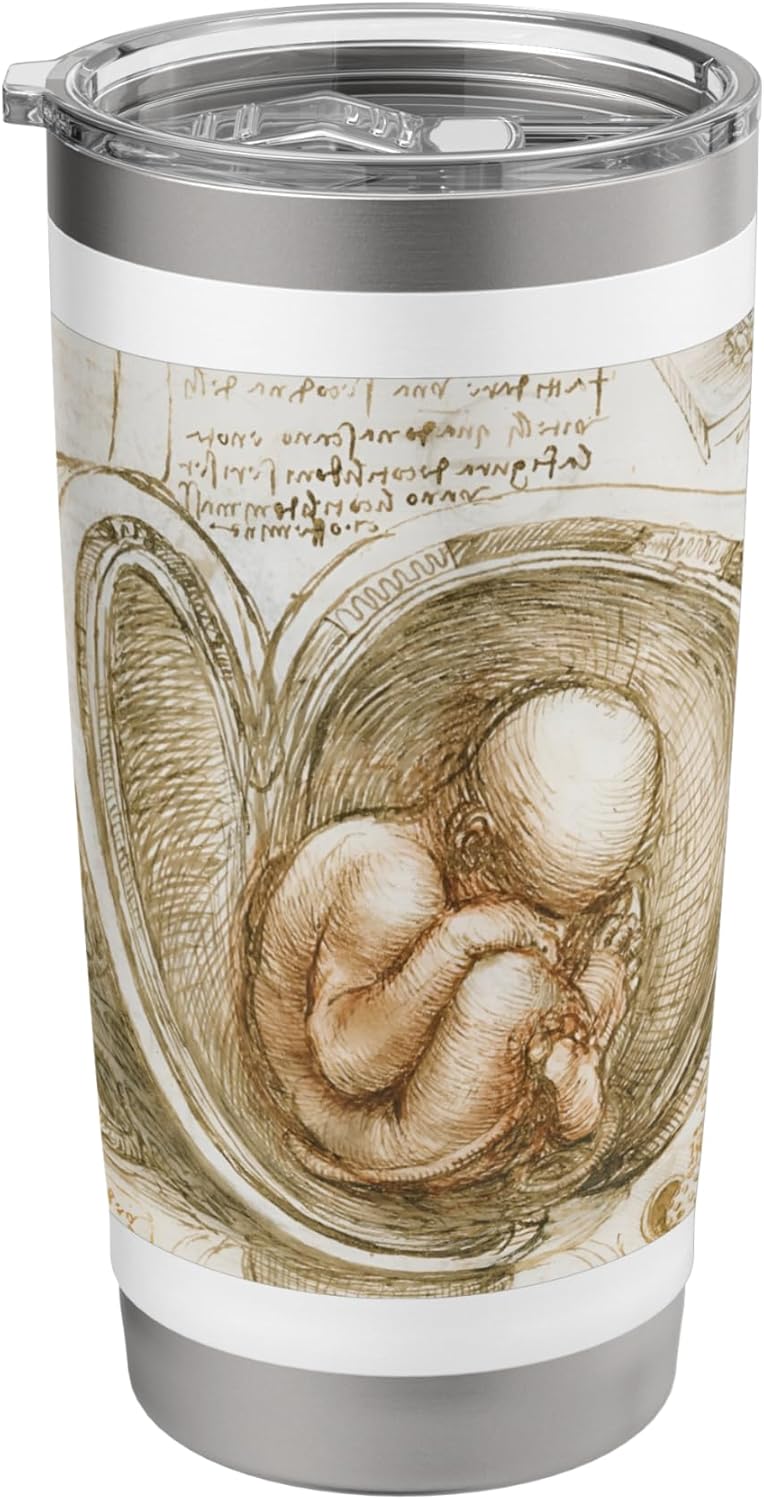 Studies of the Fetus in the Womb by Leonardo da Vinci