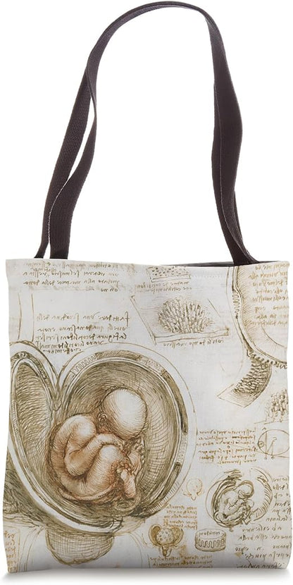 Studies of the Fetus in the Womb by Leonardo da Vinci