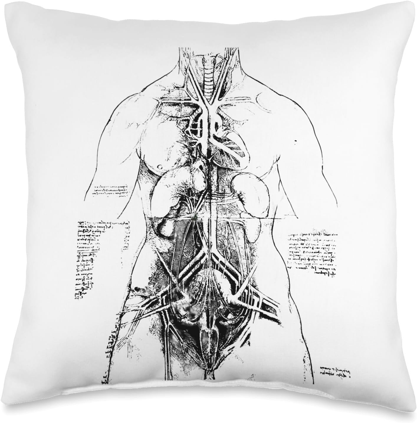 Anatomical Study by Leonardo da Vinci