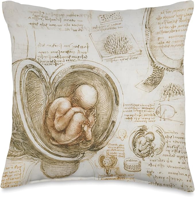 Studies of the Fetus in the Womb by Leonardo da Vinci