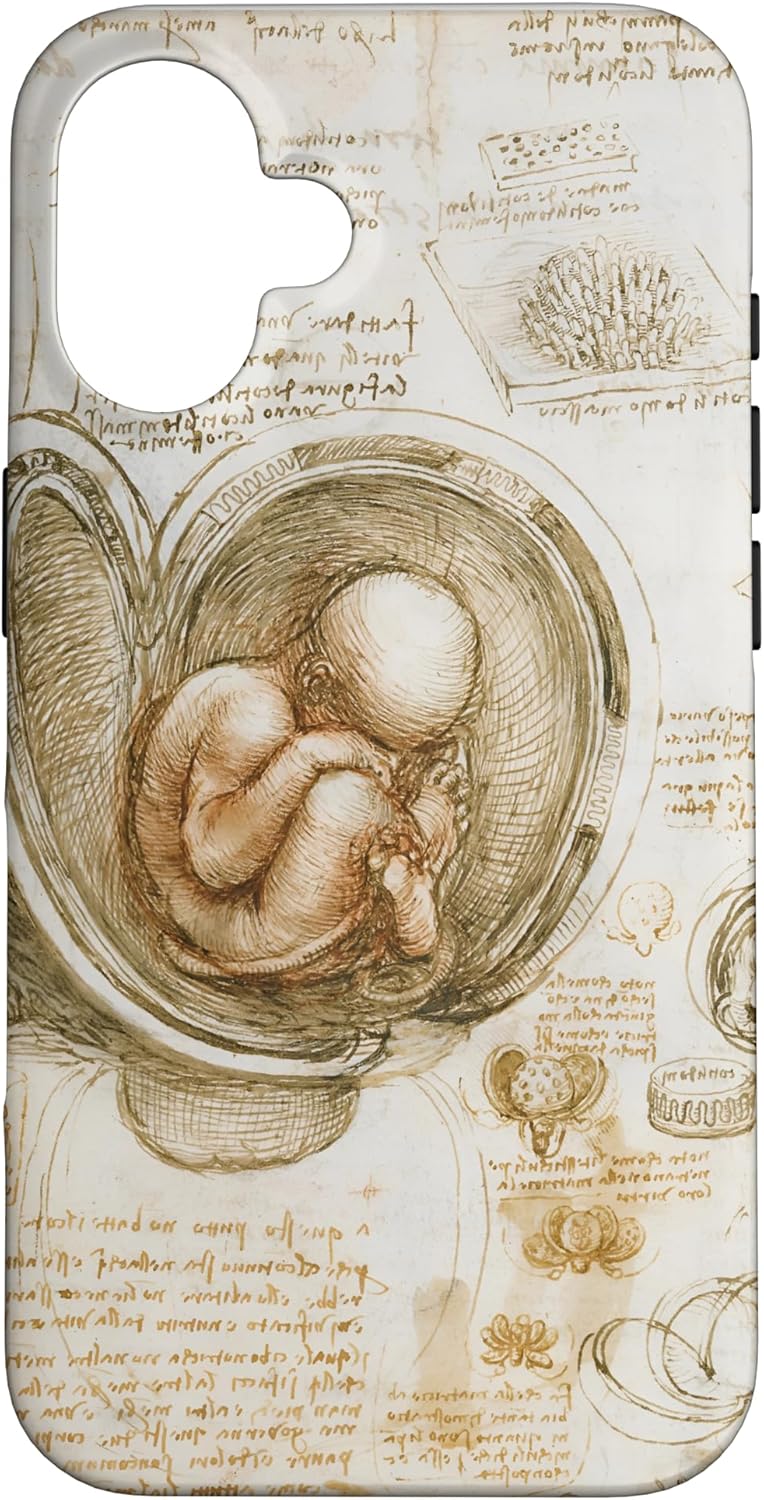 Studies of the Fetus in the Womb by Leonardo da Vinci