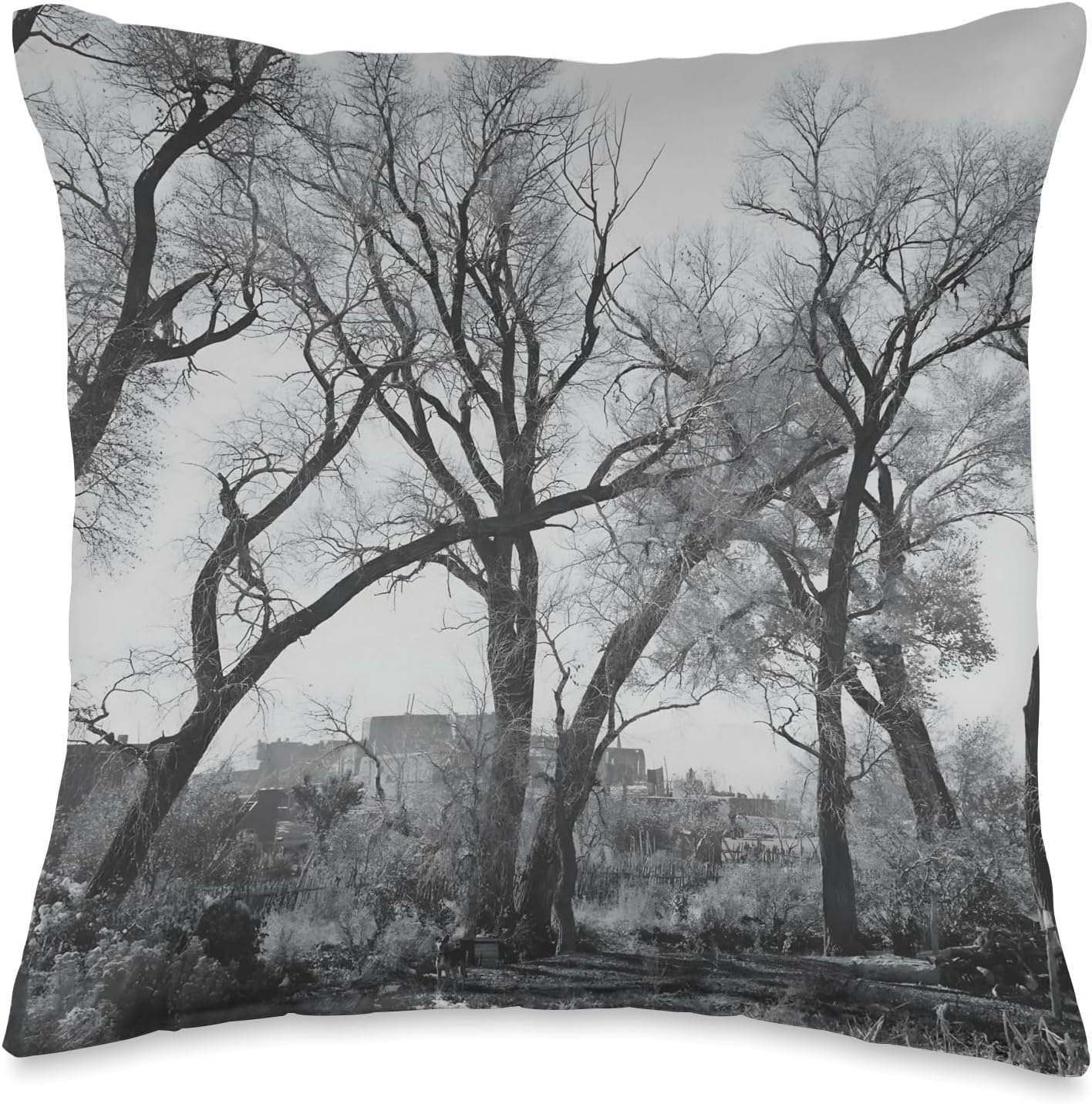 Cottonwood trees at Taos Pueblo