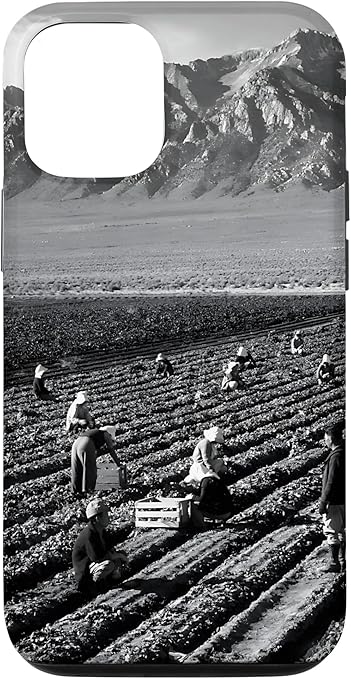 Farm workers, Mt. Williamson