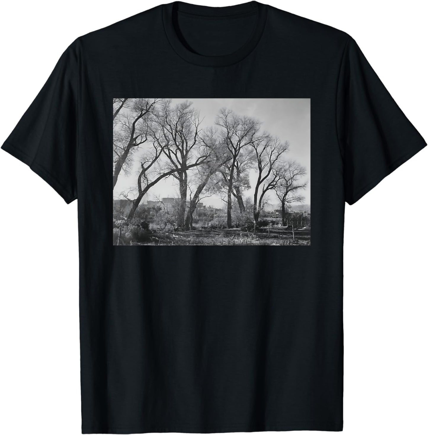 Cottonwood trees at Taos Pueblo