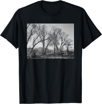 Cottonwood trees at Taos Pueblo