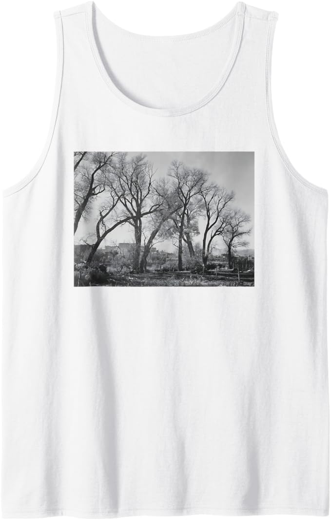 Cottonwood trees at Taos Pueblo