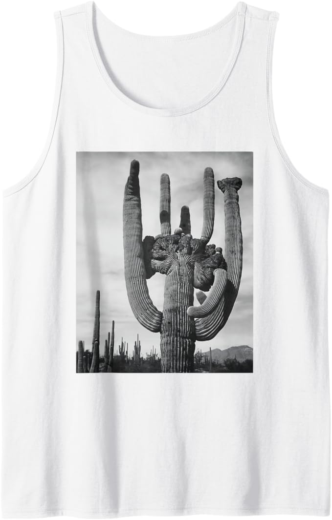 Saguaro Cactus
