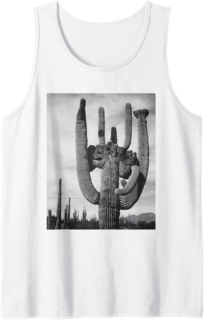 Saguaro Cactus