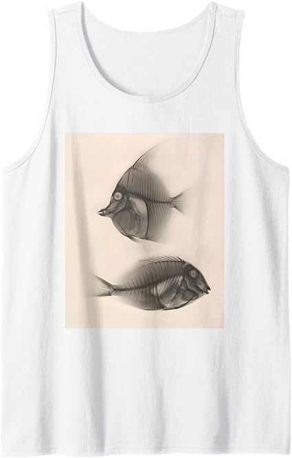 Moorish idol / Bluelined surgeonfish