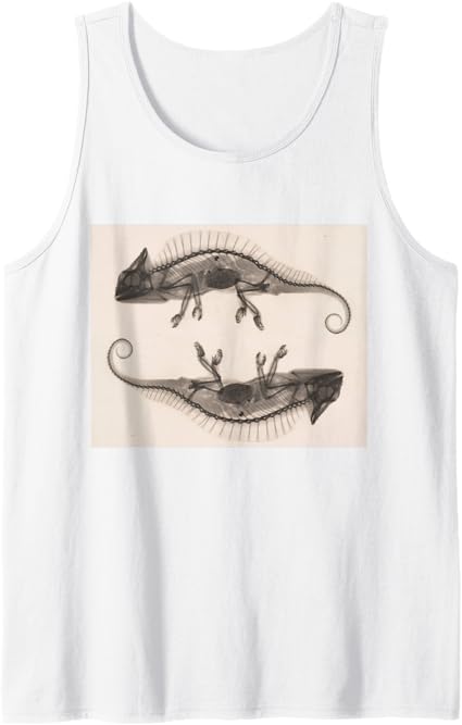 Chameleon Radiographic Photo