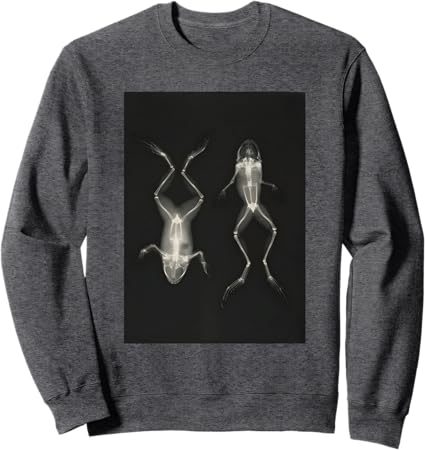 Frog on Back and Front