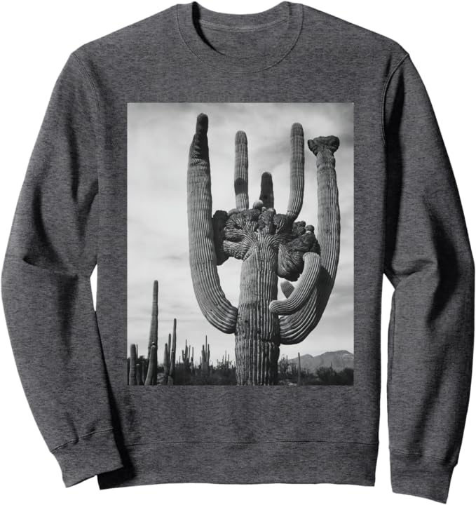 Saguaro Cactus
