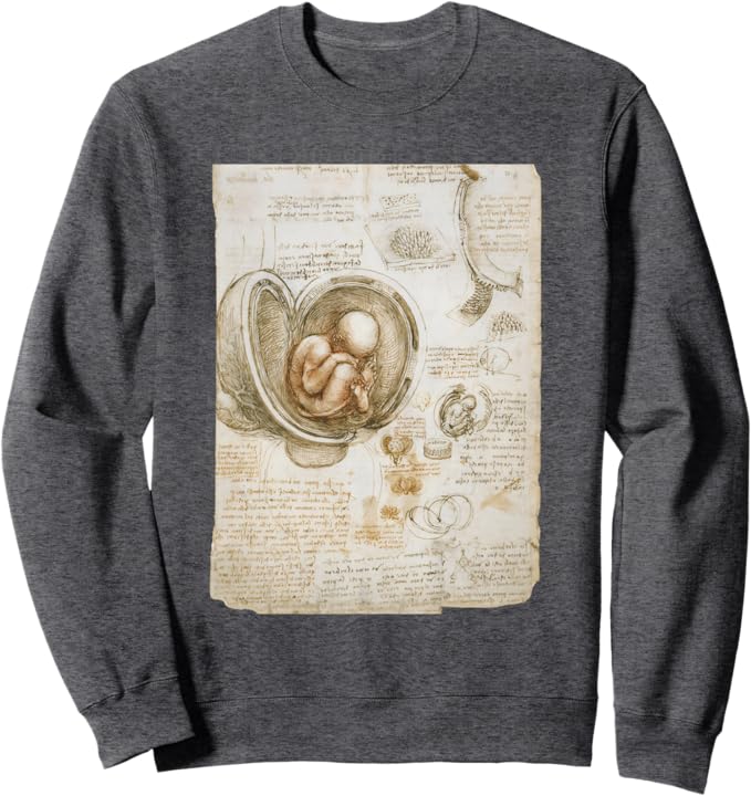 Studies of the Fetus in the Womb by Leonardo da Vinci