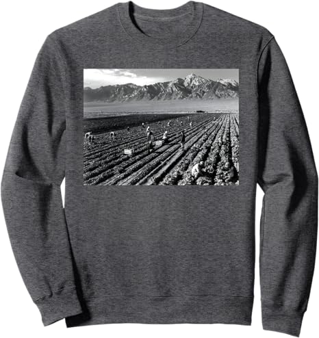 Farm workers, Mt. Williamson