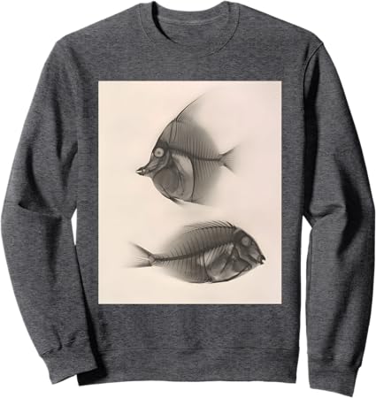 Moorish idol / Bluelined surgeonfish