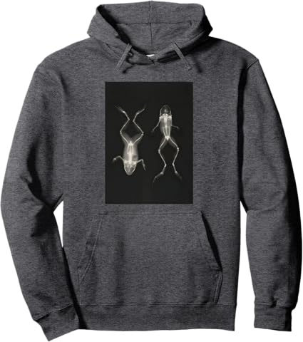 Frog on Back and Front