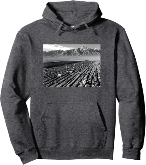 Farm workers, Mt. Williamson