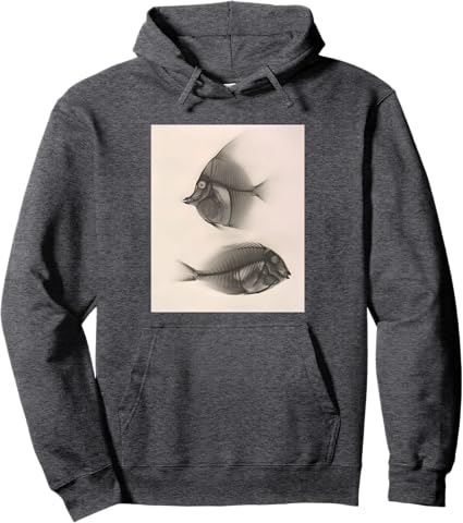 Moorish idol / Bluelined surgeonfish