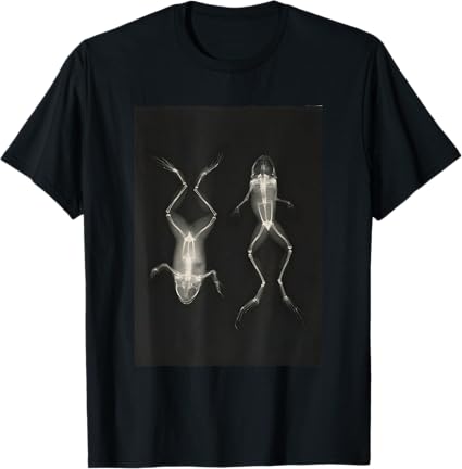 Frog on Back and Front