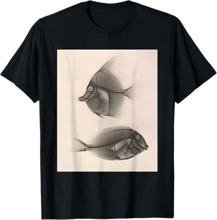 Moorish idol / Bluelined surgeonfish