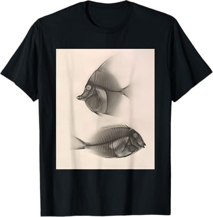 Moorish idol / Bluelined surgeonfish