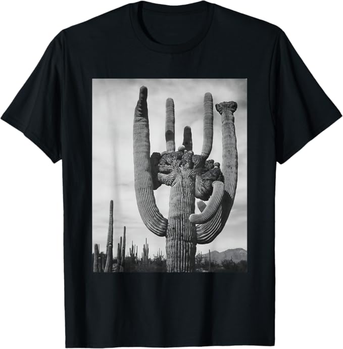 Saguaro Cactus