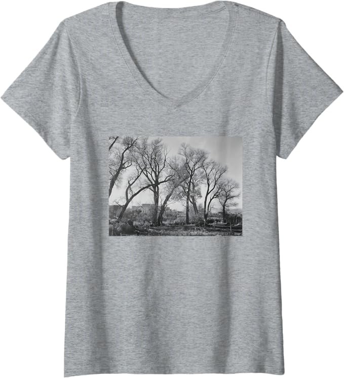 Cottonwood trees at Taos Pueblo