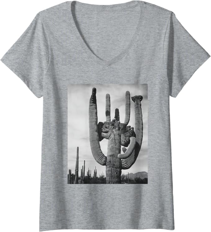 Saguaro Cactus