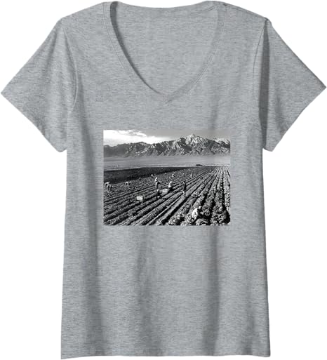 Farm workers, Mt. Williamson